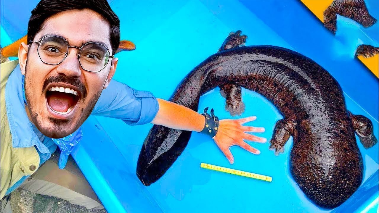 Going To a Dangerous Island in Goa   हम एक खतरनाक द्वीप पर पहुंच गए   100% Real