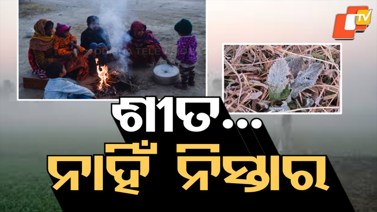 Odisha Cold Wave: Temperature Drops Below Zero in Similipal