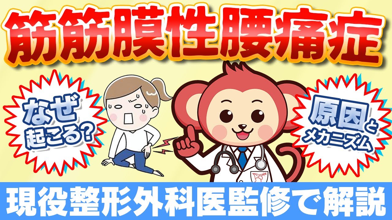 【40代以上必見】筋筋膜性腰痛症の原因とメカニズム治療法を現役整形外科医監修で解説