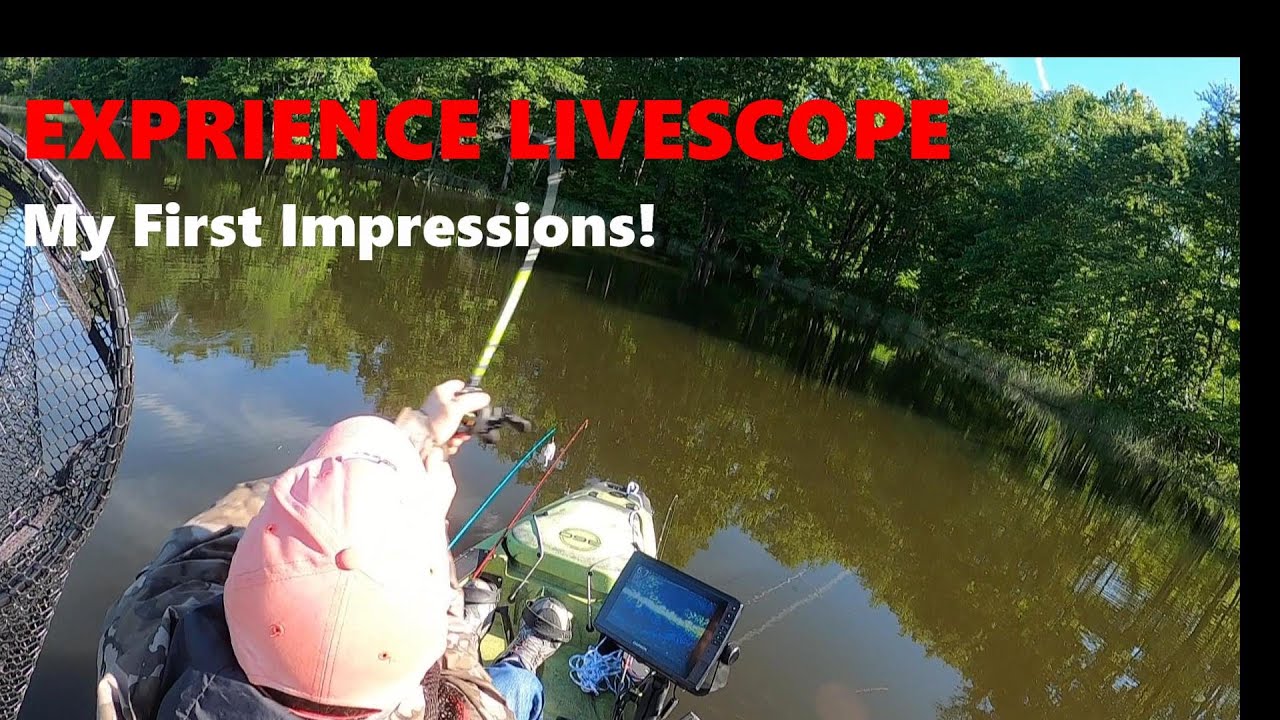 Experience LiveScope - My First Impressions
