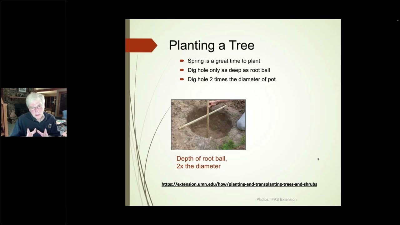 Tree Care Advice to Keep Your Trees Healthy and Thriving
