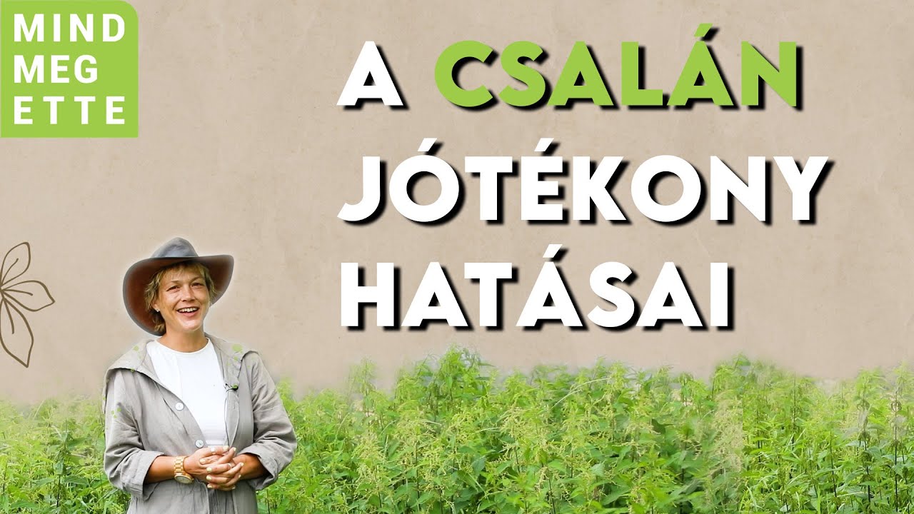 A csalán jótékony hatásai: így gyűjtsd és használd fel | Mindmegette.hu