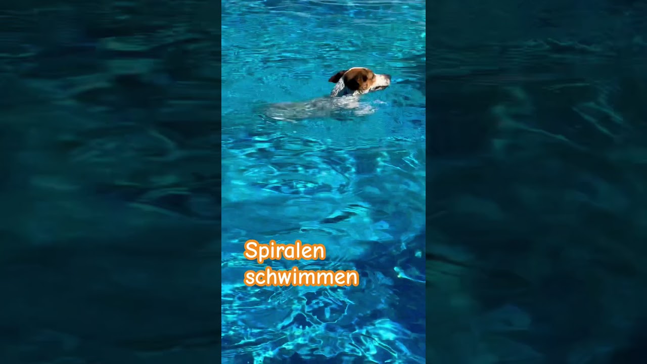 Dog Spiraling