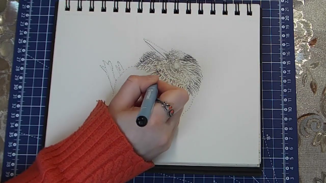 Kiwi bird | Pen drawing