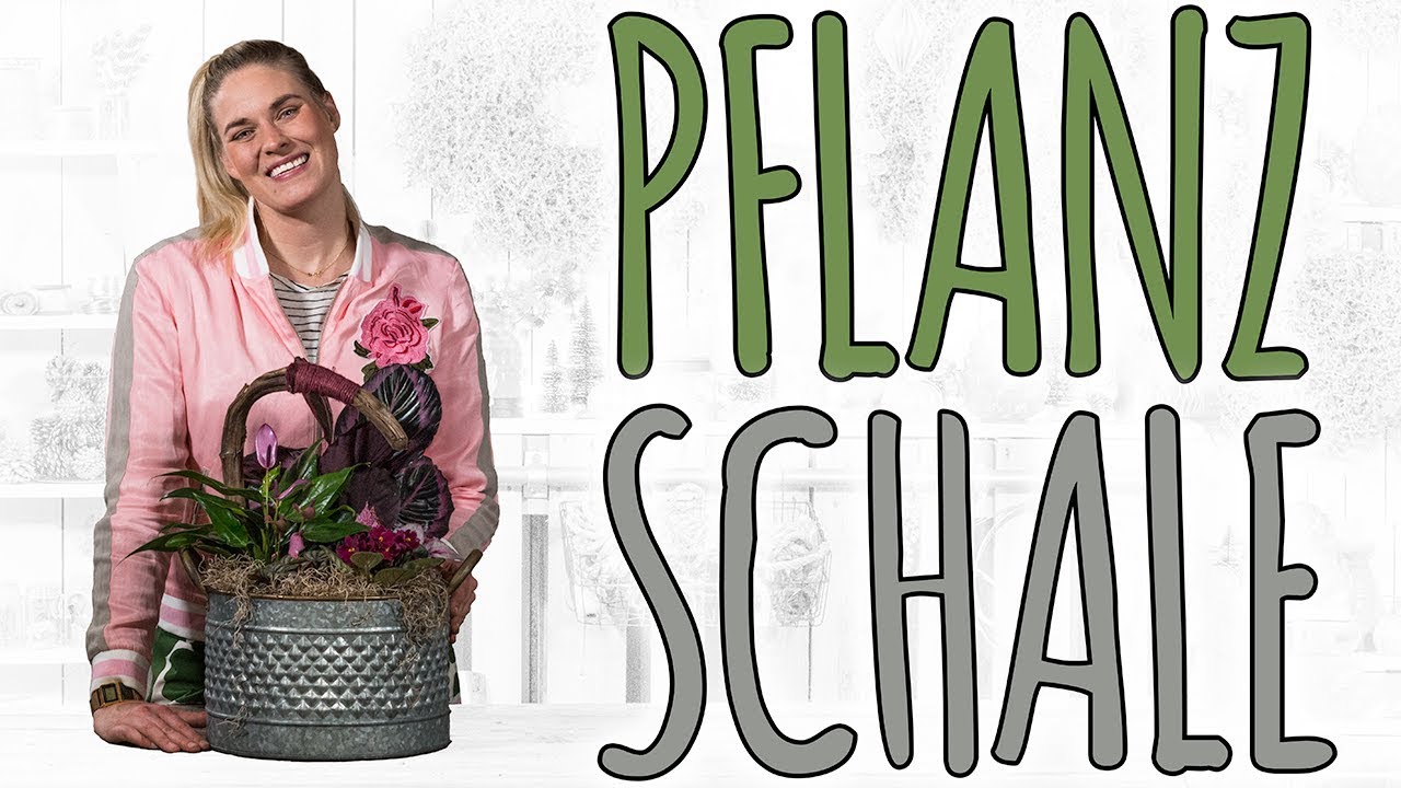 PFLANZSCHALE FÜR INNEN MUSS JA NICHT IMMER NUR GRÜN SEIN - DIY