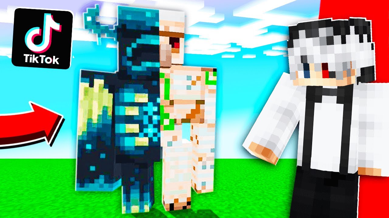 Testez CELE MAI FAKE TikTok-uri VIRALE cu MINECRAFT! *penibile*
