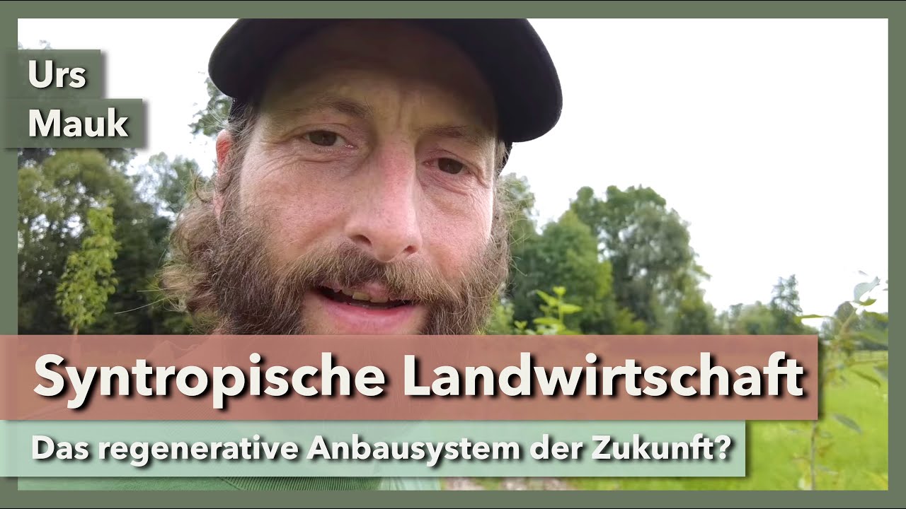 Syntropische Landwirtschaft - worum geht es? | Urs Mauk | 2023