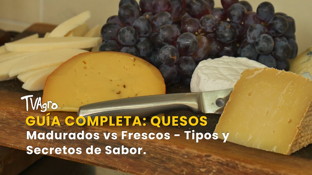 Guía Completa: Quesos Madurados vs Frescos -Tipos y Secretos de Sabor -TvAgro por Juan Gonzalo Angel