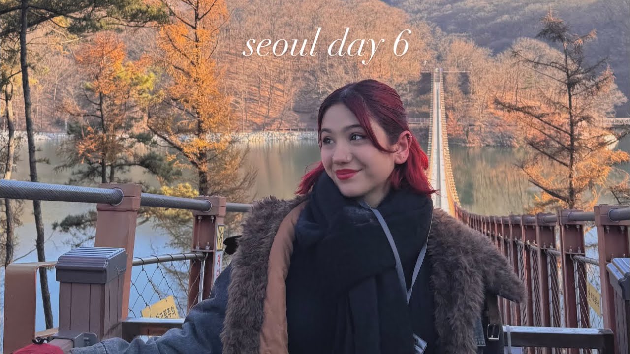 seoul day six: dmz tour, third infiltration tunnel, suspension bridge, karaoke and street food