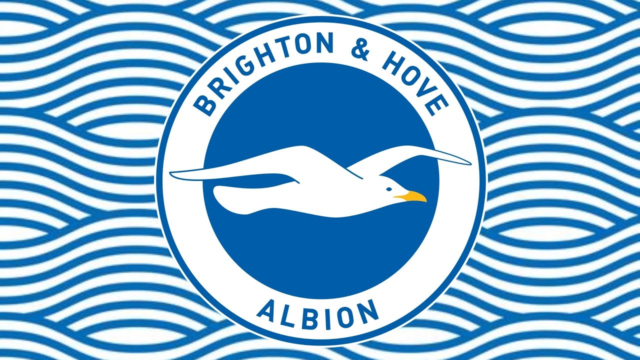 The History of Brighton & Hove Albion!