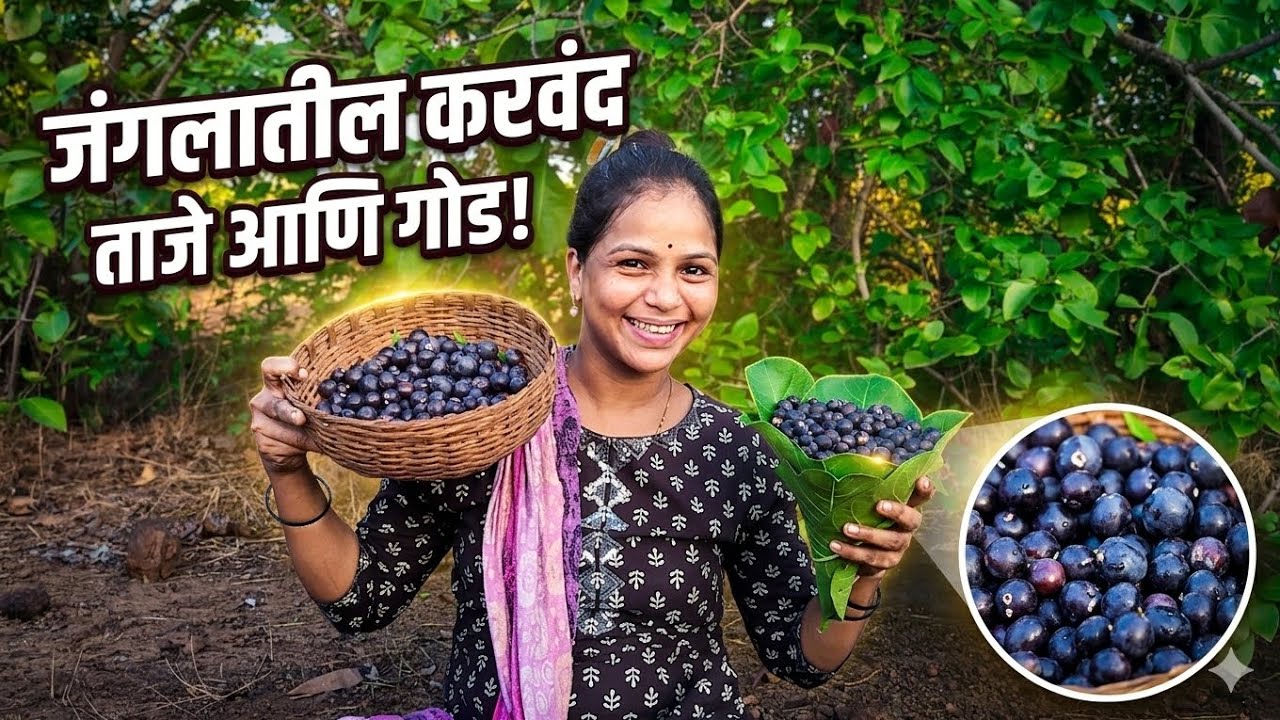 जंगलातील करवंद | Berries In Forest | Summer | Fruit | Konkan | Pickle