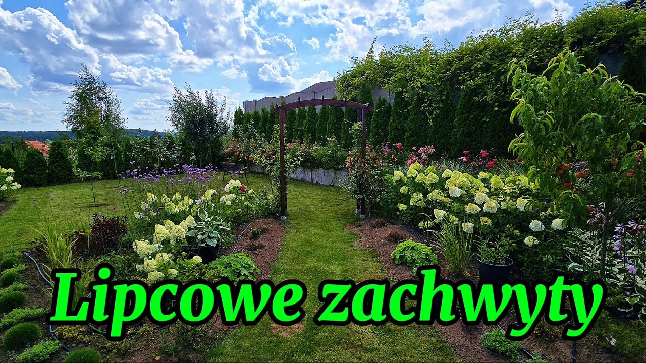 Lipcowe zachwyty, czyli najpiekniejsze zakątki ogrodu w lipcu. 🌿🏵🥀🪻 5 sierpnia 2025