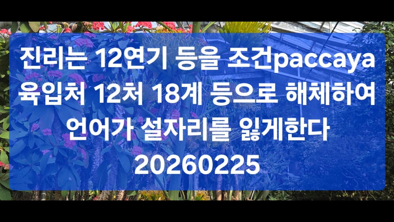 ariya ñāya진리는 12연기 등을 조건paccya 육입처 12처 18계 등으로 해체하여 언어가 설자리를 잃게 한다 20260225