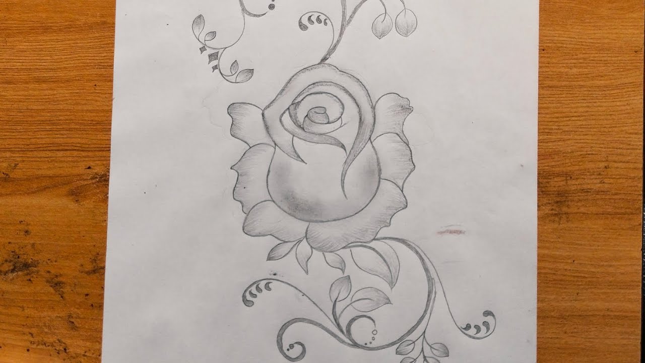 “Easy Rose Flower Drawing Step by Step | Beautiful Pencil Sketch for Beginners”
