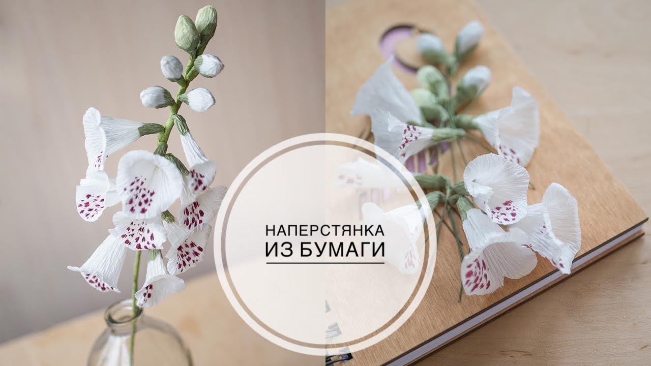 Digitalis of paper / Наперстянка из бумаги / DIY Tsvoric