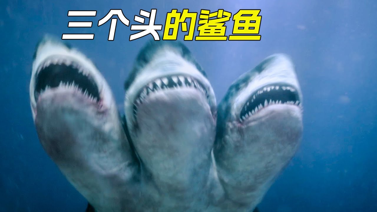 鯊魚發生了變異，竟然長出三個頭，瘋狂地攻擊船員，科幻，奇幻，獵奇，冒險，鯊魚，電影，解說