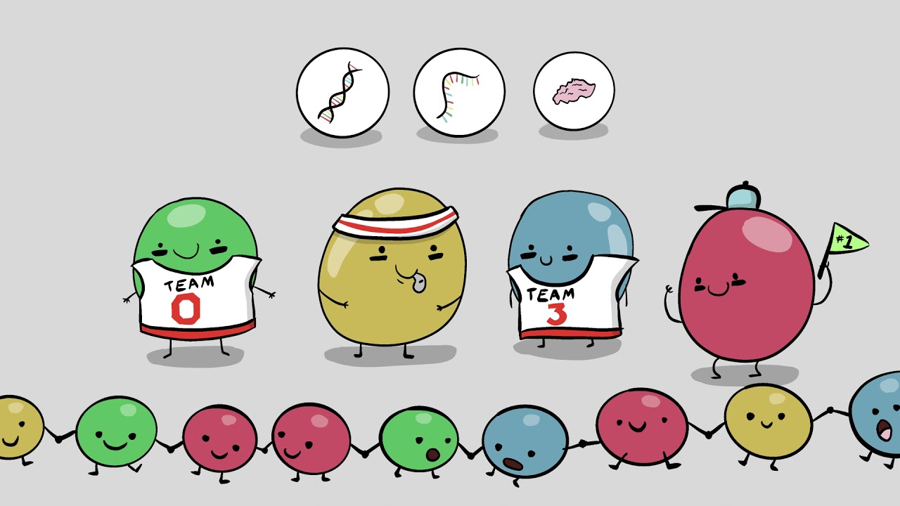 Teaser for Challenge to Origin of Life: Biopolymers, a New Episode of Long Story Short