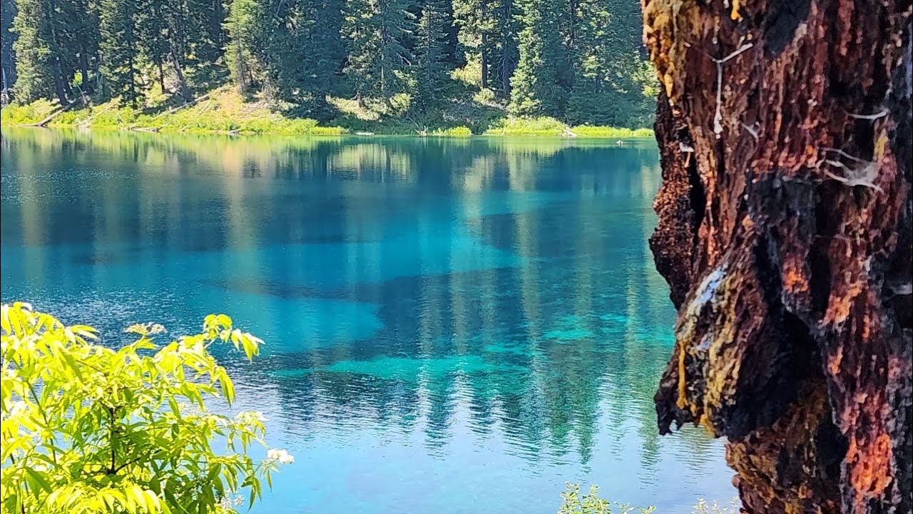 Clear Lake Oregon, Underwater views and Divers
