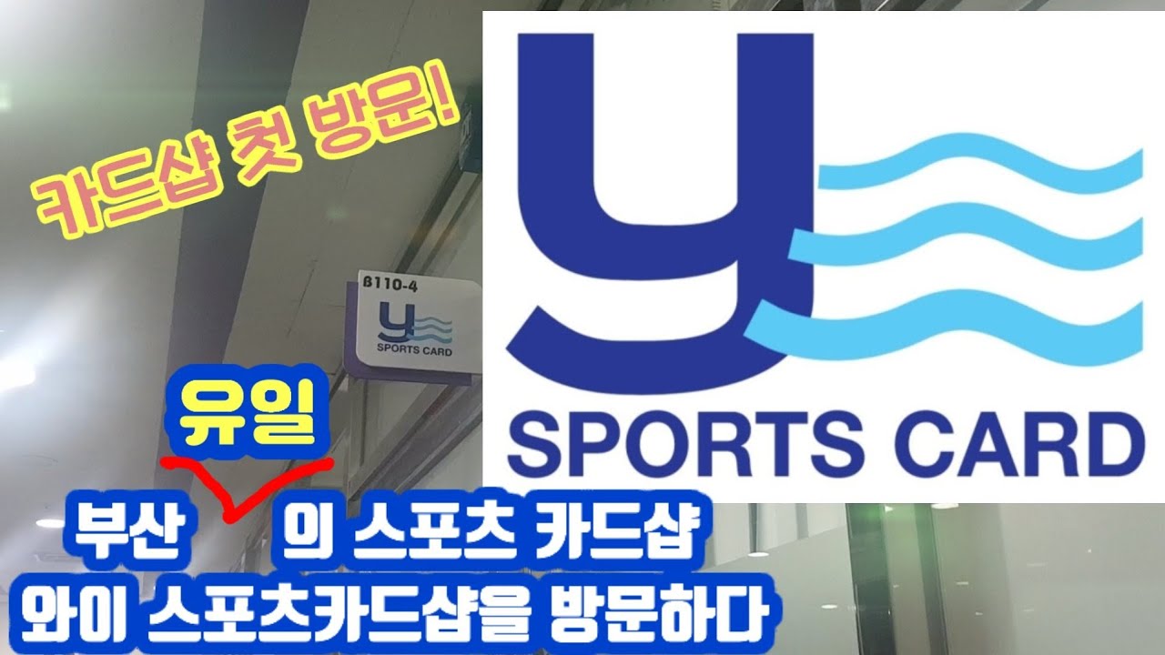 부산에 유일한 카드샵! 와이 스포츠카드를 방문하다