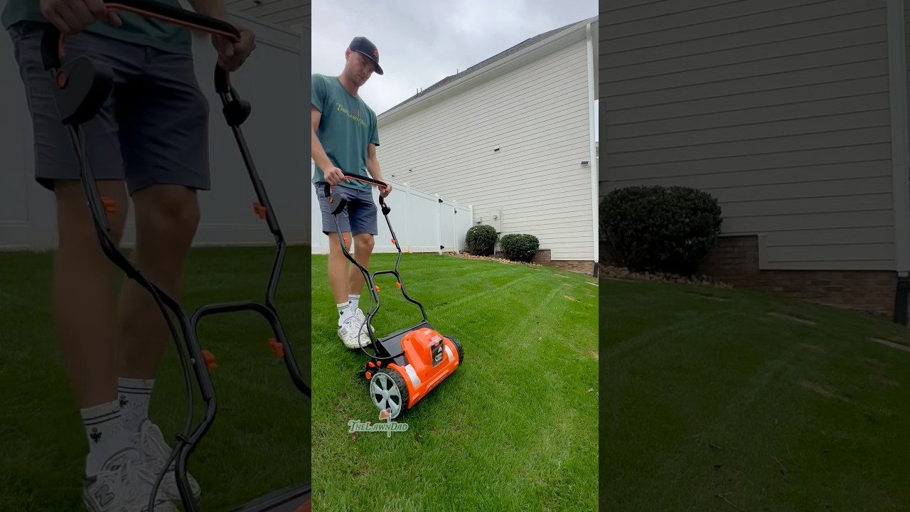 How does a $140 reel mower cut? I had to find out 🤷🏼&zwj;♂️. What do you think? #reelmower #lawn