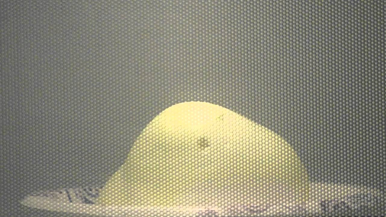Exploding Easter Marshmallow Peeps in Microwave - @OpieRadio