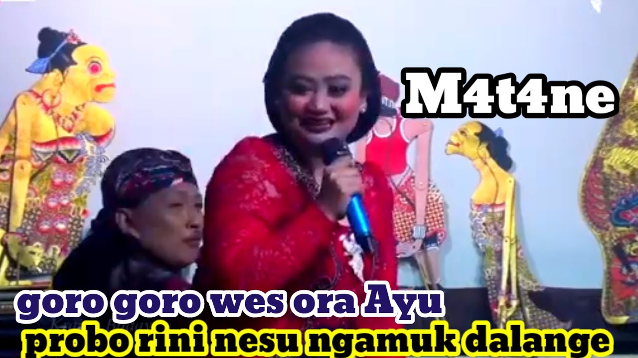 Probo ngamuk dalange goro goro di lokno wes ora ayu awake gedi