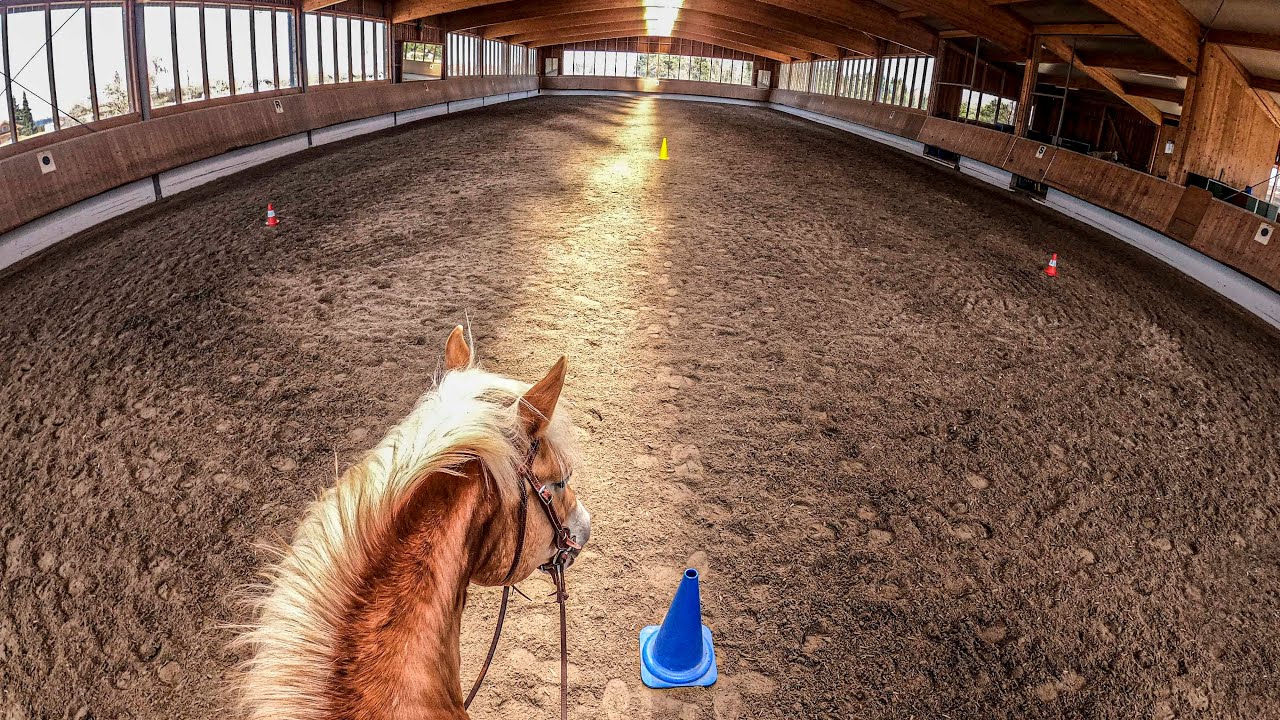 Reittraining Tempiwechsel im Zirkel, Aufgabe 1