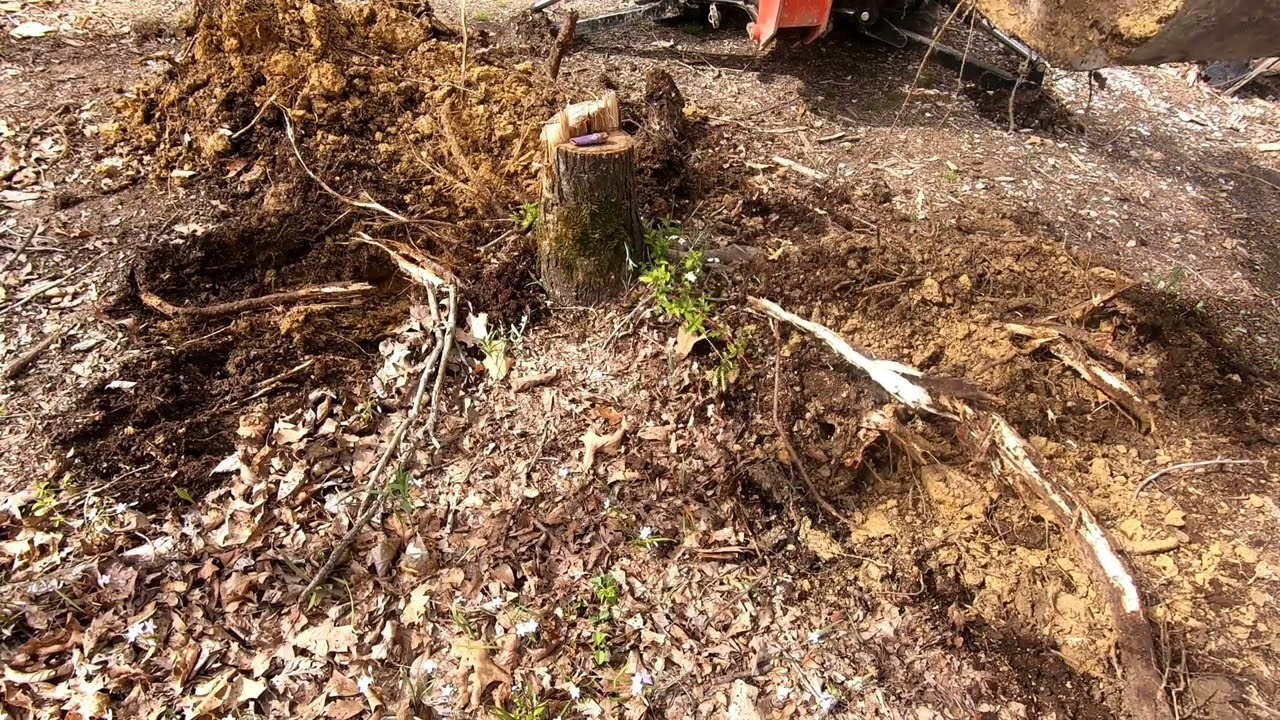 Stump removal with sub-compact tractor. Rk24.