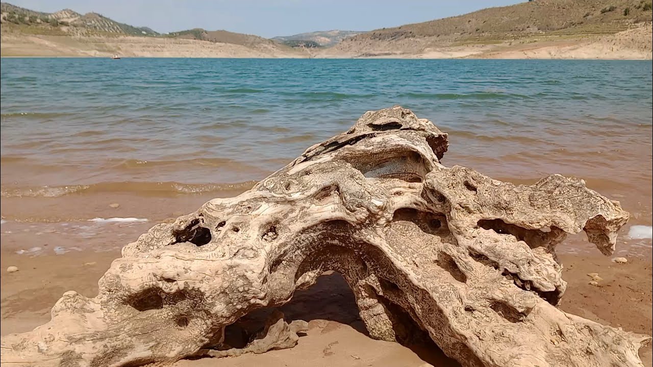 Visita al embalse de iznajar.😍🦚🐥🐖🤠🙋