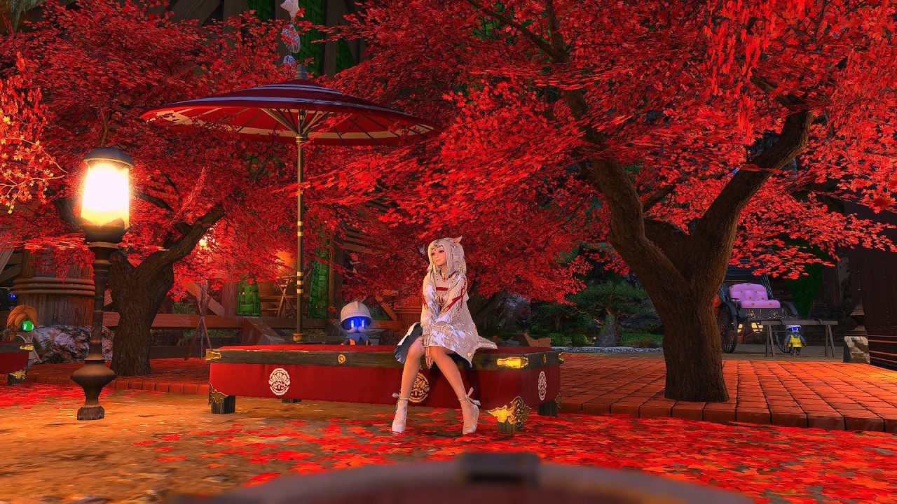 【FF14繁中】ともだち 小さな仲間