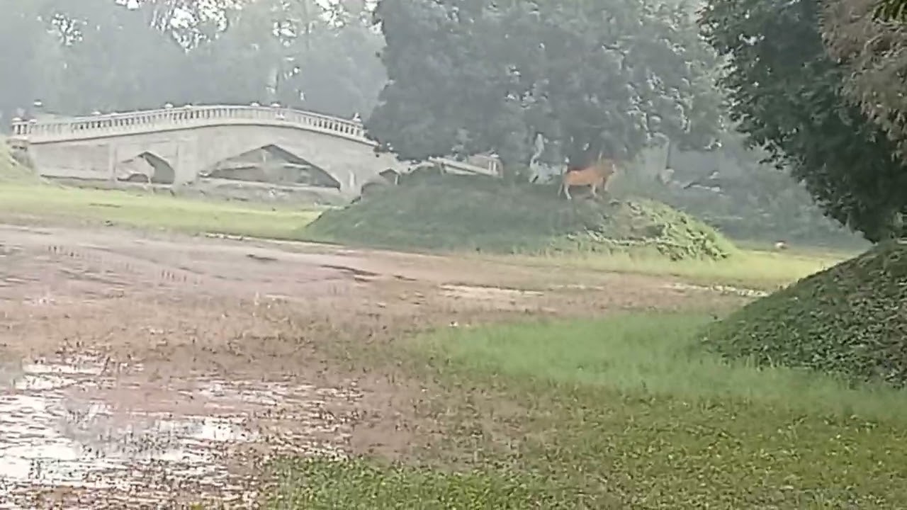 সোনারগাঁও-বাংলাদেশ। 
