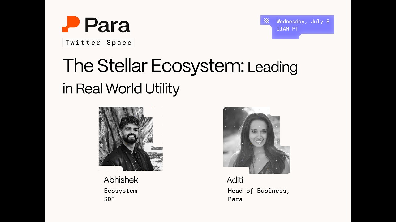 The Stellar Ecosystem: Leading in Real World Utility