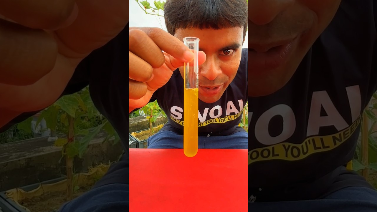 Zrobiłem biodiesel z alg!