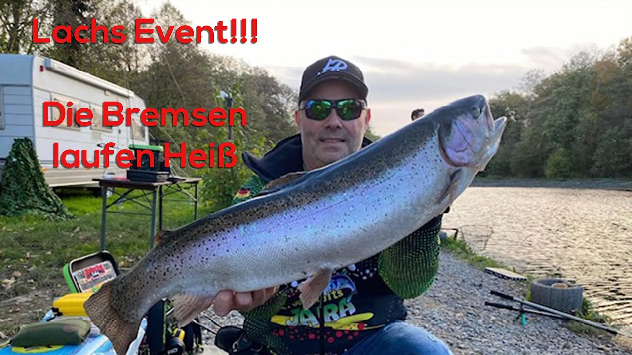 Lachs Event❗️ Die Bremsen laufen heiß 🔥