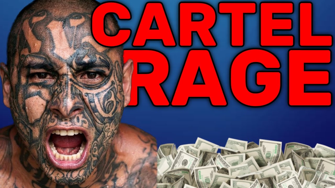 RAGING Cartel Scammer SCREAMS At Me As I Troll Him!