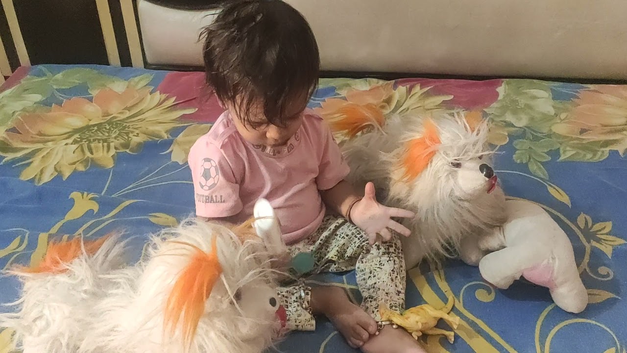 Chiku Masti