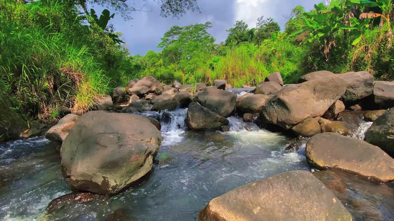 Relaxing Water Flow – 10 Hours of River ASMR for Stress and Focus Balance