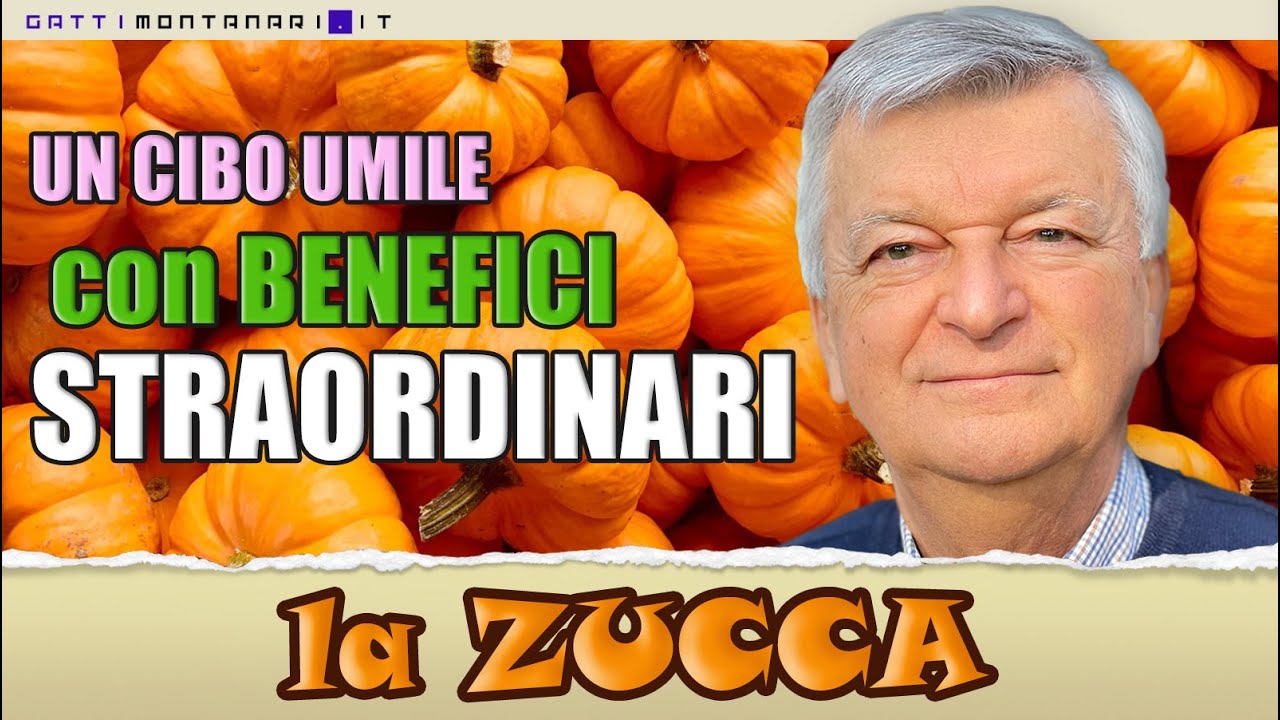 🎃 Zucca: Cibo Semplice, Effetti Potentissimi sulla Salute  #zucca  #alimentazione