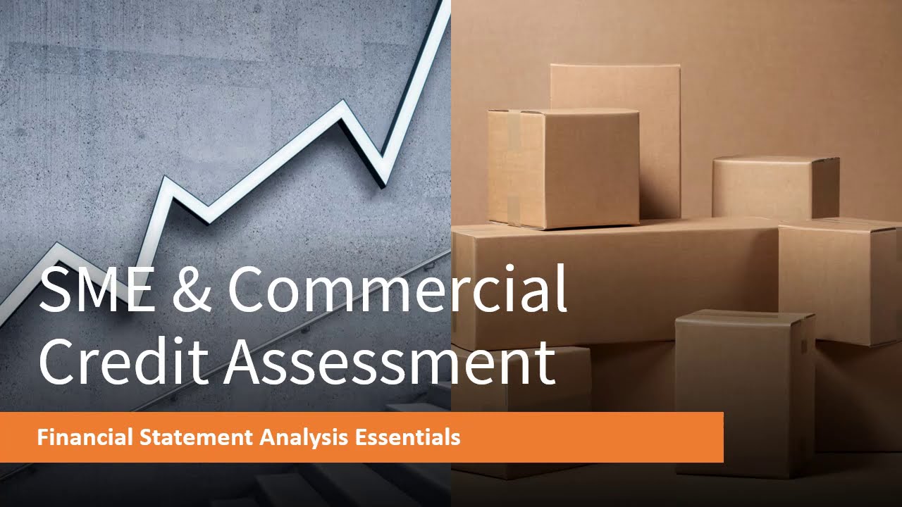 Financial Statement Analysis: SME & Commercial Credit Assessment