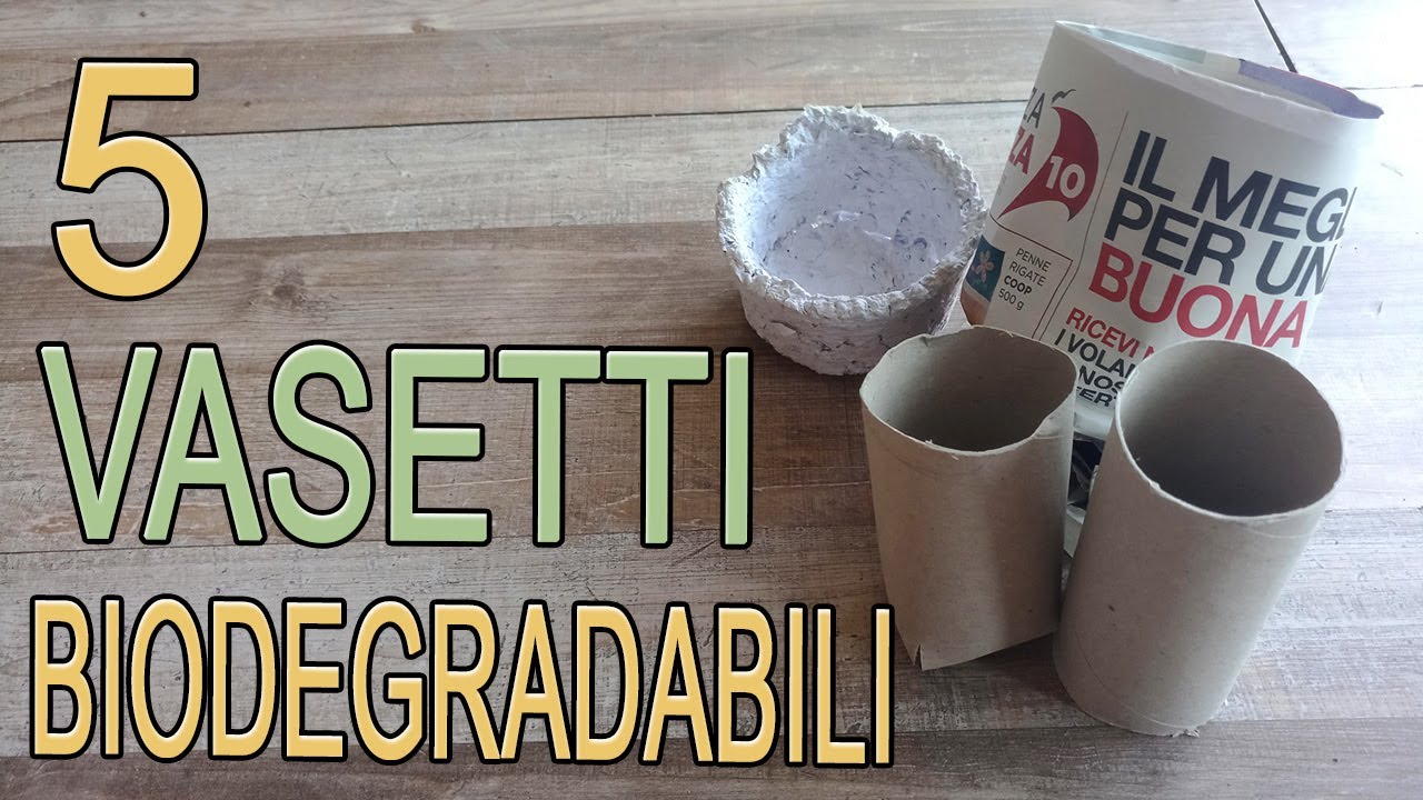 5 vasi biodegradabili semina fai da te facilissimi - Arte Green