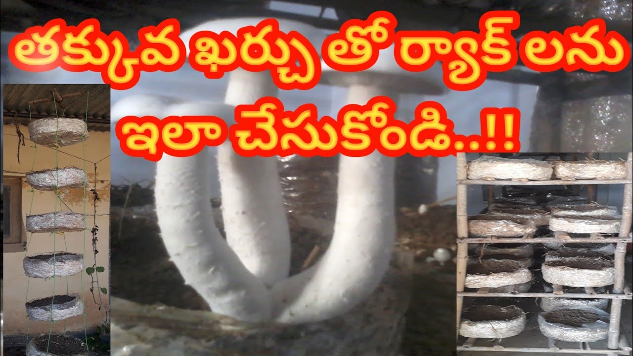 Milky Mushroom cultivation How to prepare racks in Telugu ..4