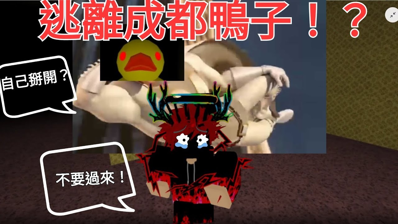 各位 我要被成都鴨子掰開了  來救我！！！！🥵🥵🥵🥵 #roblox中文圈
