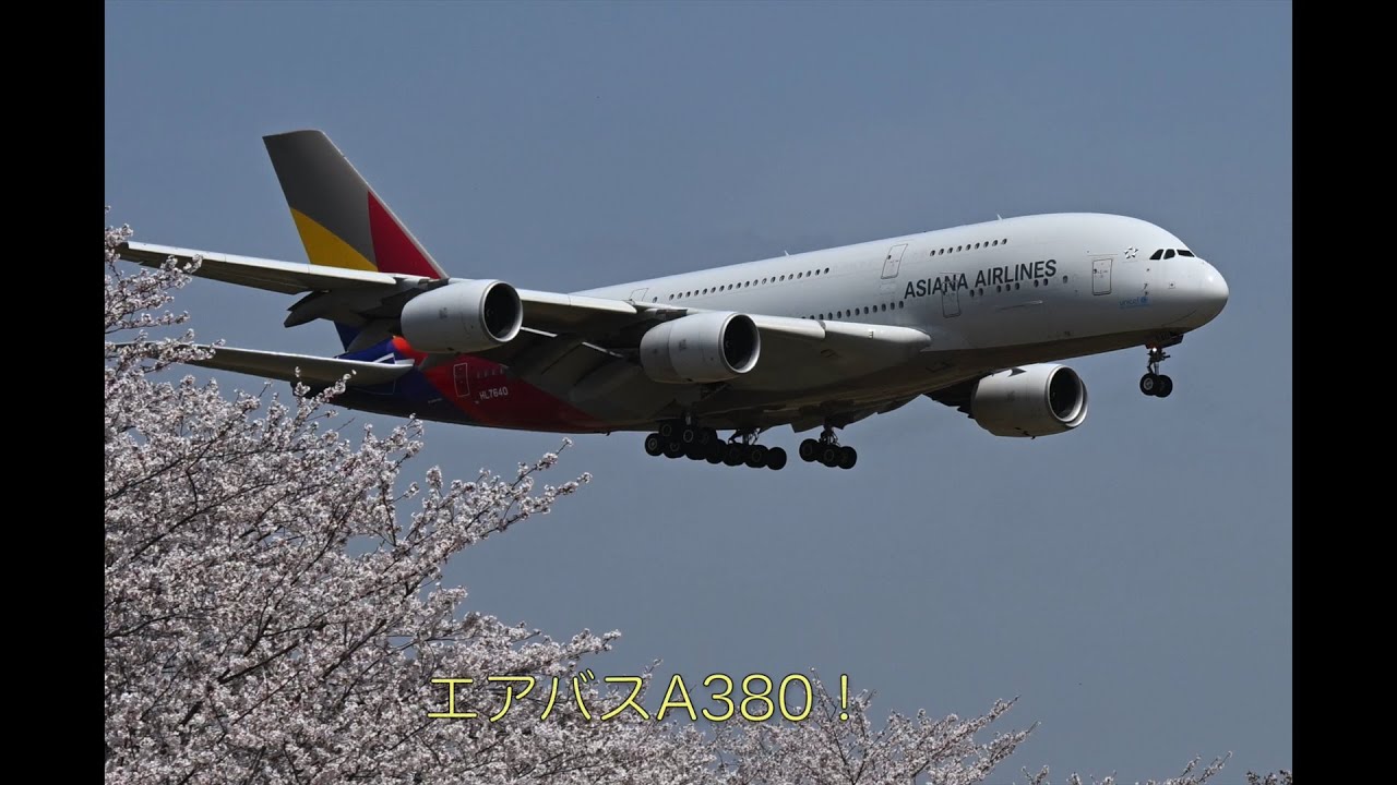 成田・さくらの山公園で飛行機と桜三昧（2025年4月8日）