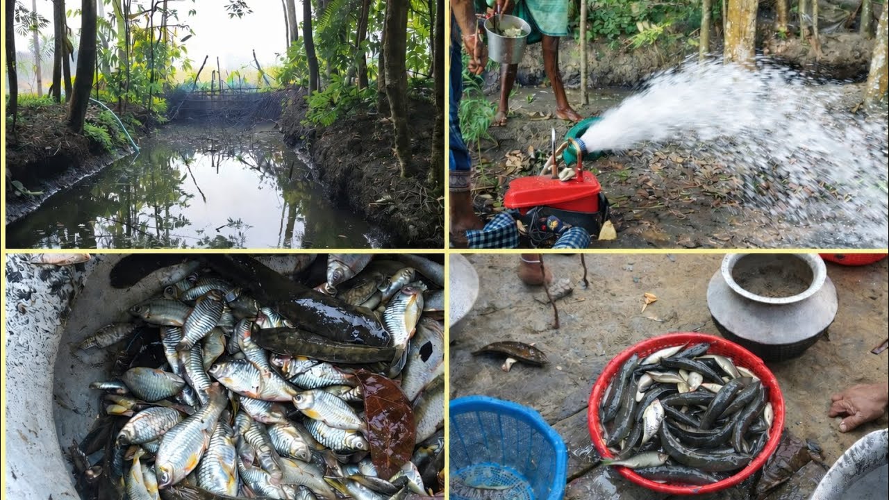 শীতের দিনে মজা করে মাছ ধরলাম। এখন আর আগের মত মাছ নাই।