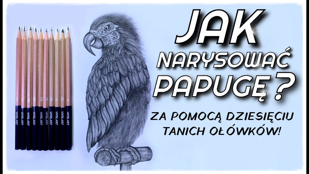 Jak narysować papugę?✏️🦜✏️Za pomocą dziesięciu tanich ołówków!✏😉👍