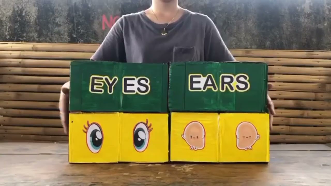 Technology for Teaching Learning 1: Instructional Materials (Five Senses Cube & DIY Television)