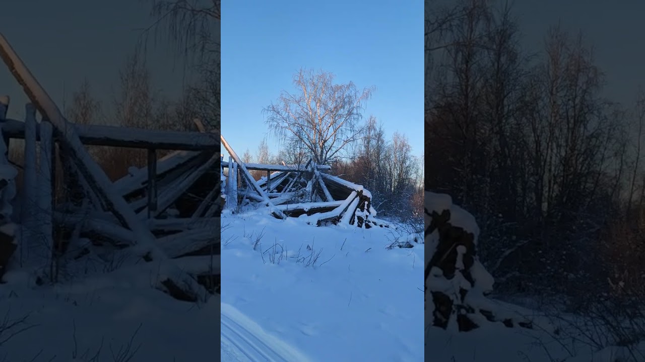 15 февраля. Мороз.