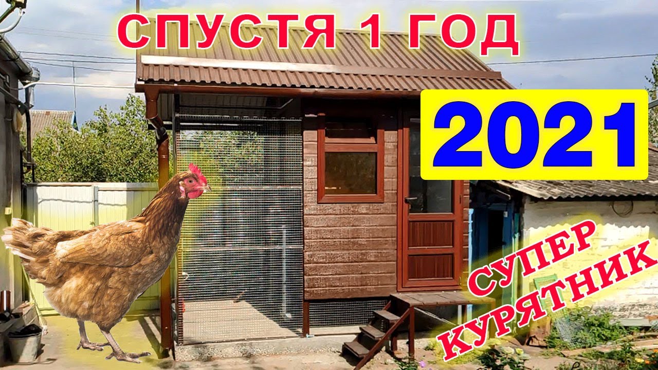 СУПЕР курятник СПУСТЯ один год!