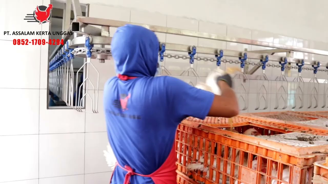 Rumah Potong Ayam PT. Assalam Kerta Unggas