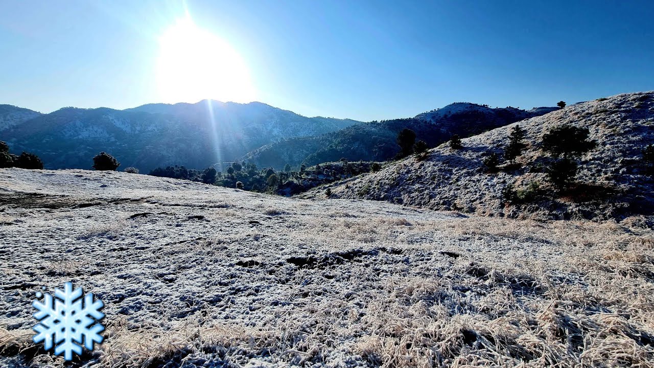 Snow ASMR: Walking Through a Rare Frozen Wilderness | Hamzatanolivlogs